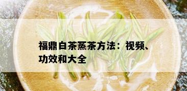 福鼎白茶蒸茶方法：视频、功效和大全