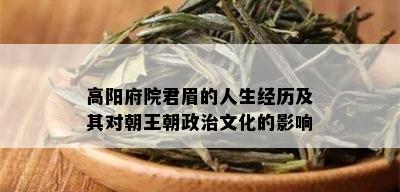 高阳府院君眉的人生经历及其对朝王朝政治文化的影响