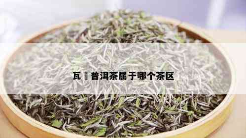 瓦篭普洱茶属于哪个茶区