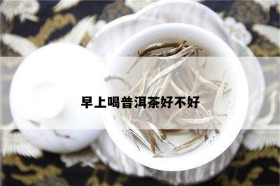 早上喝普洱茶好不好