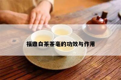 福鼎白茶茶毫的功效与作用