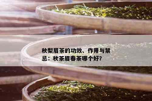 秋梨眉茶的功效、作用与禁忌：秋茶眉春茶哪个好？