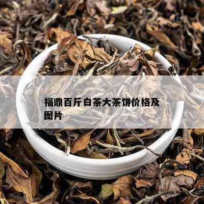 福鼎百斤白茶大茶饼价格及图片