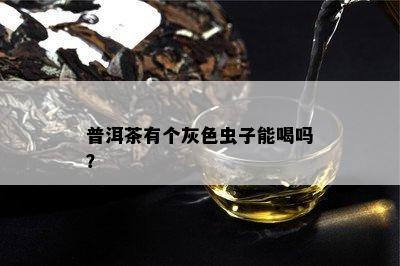 普洱茶有个灰色虫子能喝吗？