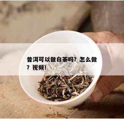 普洱可以做白茶吗？怎么做？视频！