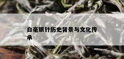 白毫银针历史背景与文化传承