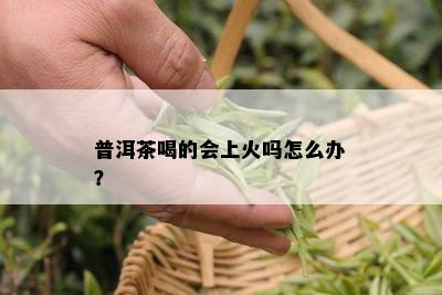 普洱茶喝的会上火吗怎么办？