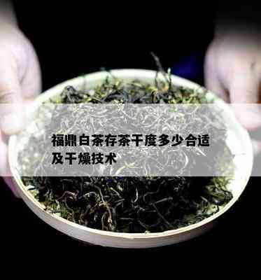 福鼎白茶存茶干度多少合适及干燥技术