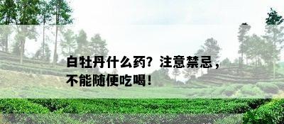 白牡丹什么？注意禁忌，不能随便吃喝！