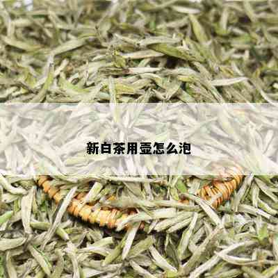 新白茶用壶怎么泡