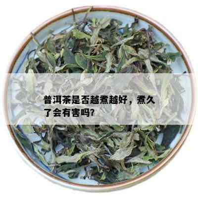 普洱茶是否越煮越好，煮久了会有害吗？