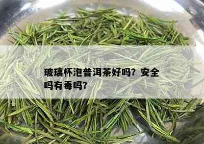 玻璃杯泡普洱茶好吗？安全吗有吗？