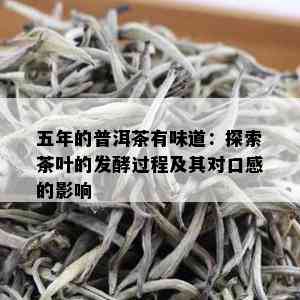 五年的普洱茶有味道：探索茶叶的发酵过程及其对口感的影响