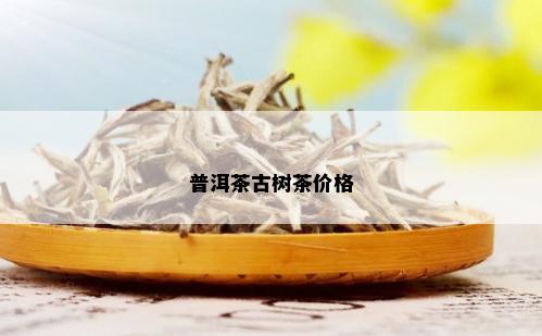 普洱茶古树茶价格