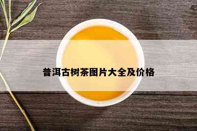 普洱古树茶图片大全及价格