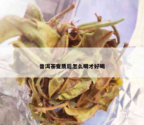 普洱茶变质后怎么喝才好喝