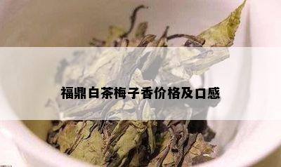 福鼎白茶梅子香价格及口感