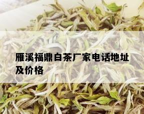 雁溪福鼎白茶厂家电话地址及价格