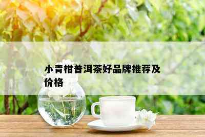 小青柑普洱茶好品牌推荐及价格