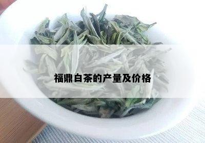 福鼎白茶的产量及价格