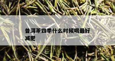 普洱茶四季什么时候喝更好减肥