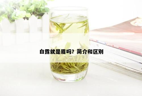 白露就是眉吗？简介和区别