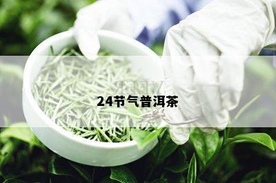 24节气普洱茶