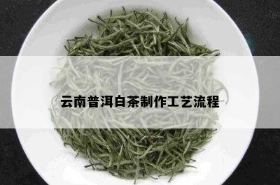 云南普洱白茶制作工艺流程