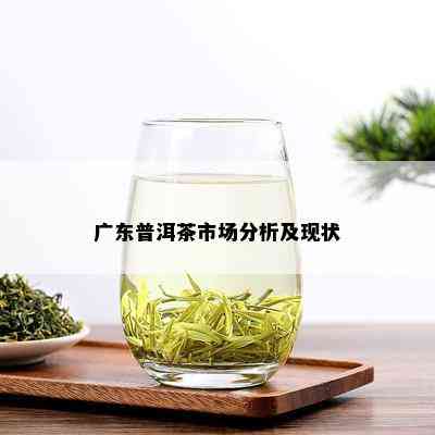 广东普洱茶市场分析及现状