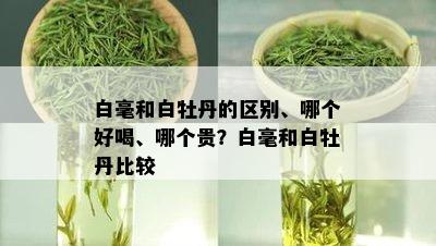 白毫和白牡丹的区别、哪个好喝、哪个贵？白毫和白牡丹比较