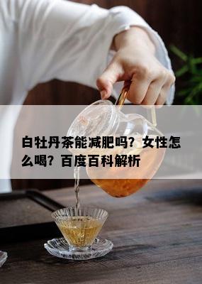 白牡丹茶能减肥吗？女性怎么喝？百度百科解析