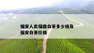 福安人卖福鼎白茶多少钱及福安白茶价格