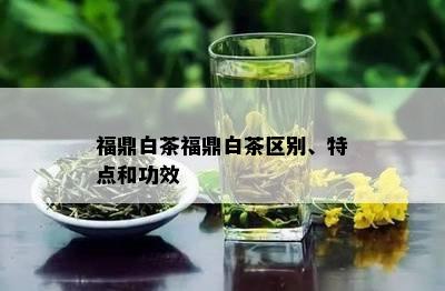 福鼎白茶福鼎白茶区别、特点和功效