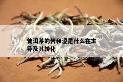 普洱茶的苦和涩是什么在主导及其转化