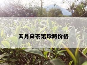 天月白茶馆珍藏价格