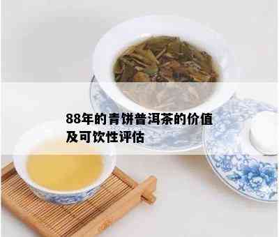 88年的青饼普洱茶的价值及可饮性评估