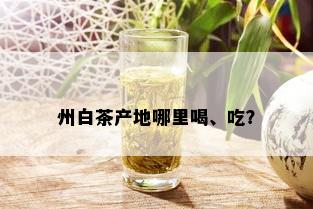 州白茶产地哪里喝、吃？