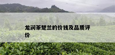 龙润茶楚兰的价钱及品质评价