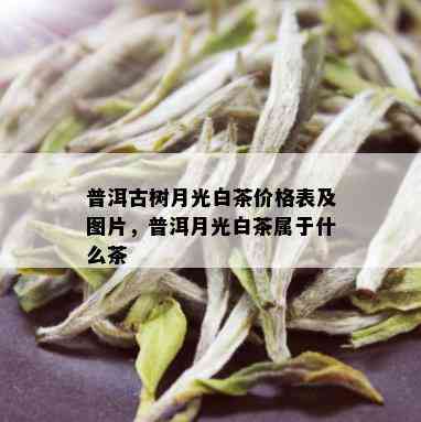 普洱古树月光白茶价格表及图片，普洱月光白茶属于什么茶