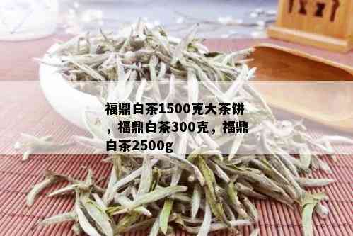 福鼎白茶1500克大茶饼，福鼎白茶300克，福鼎白茶2500g