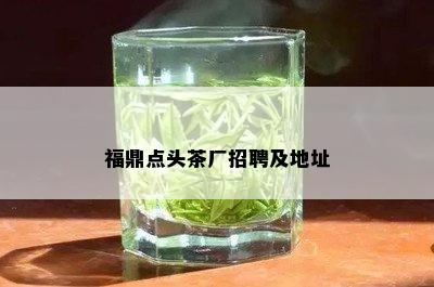 福鼎点头茶厂招聘及地址