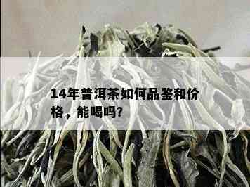 14年普洱茶如何品鉴和价格，能喝吗？