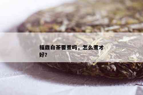 福鼎白茶要煮吗，怎么煮才好？