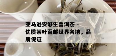 亚马逊安够生普洱茶 - 优质茶叶直邮世界各地，品质保证