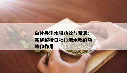 白牡丹泡水喝功效与禁忌：完整解析白牡丹泡水喝的功效和作用