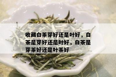 收藏白茶芽好还是叶好，白茶是芽好还是叶好，白茶是芽茶好还是叶茶好