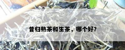 昔归熟茶和生茶，哪个好？