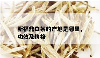 新福鼎白茶的产地是哪里，功效及价格