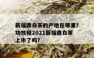 新福鼎白茶的产地在哪里？功效和2021新福鼎白茶上市了吗？