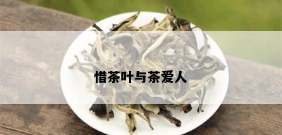 惜茶叶与茶爱人